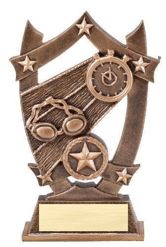 3D Sport Stars -Swimming