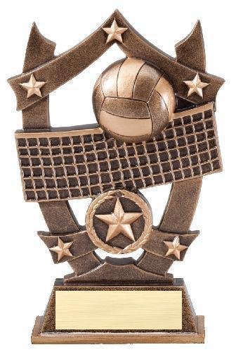 3D Sport Stars -Volleyball