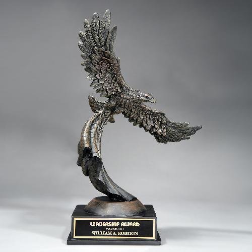 American Eagle Flight