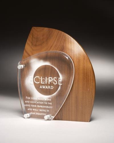 Artisan Wood Sculpted Acrylic Award