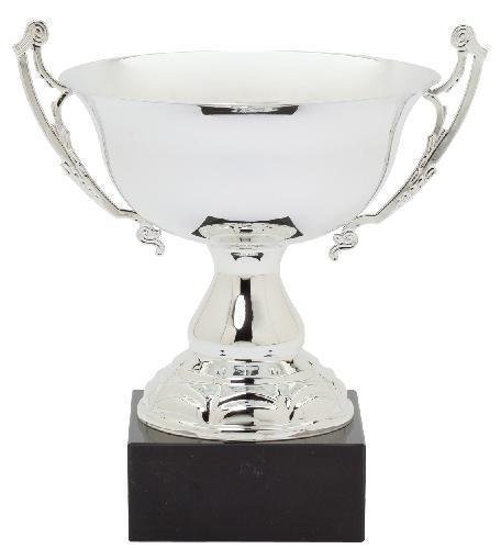 Assembled Cup Silver