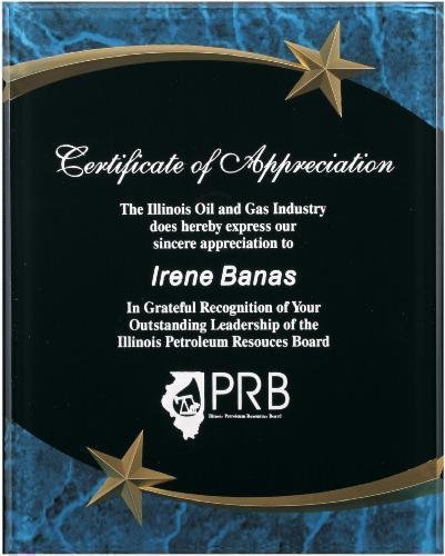 Blue Marble Shooting Star Acrylic Award Recognition Plaque