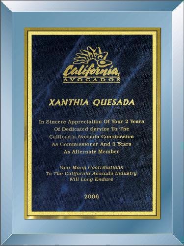 Blue Mirror Plaque