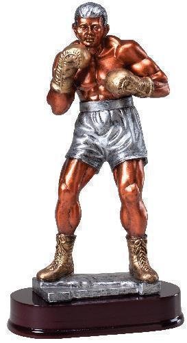 Boxer, Male Award