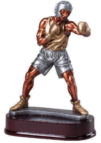 Boxer, Male Award
