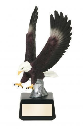 Color Strike Eagle Award