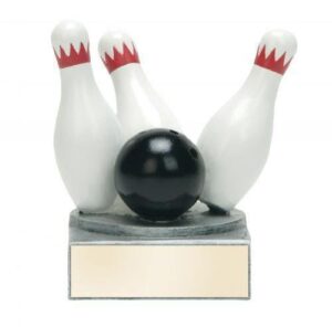 Color Tek Bowling Award