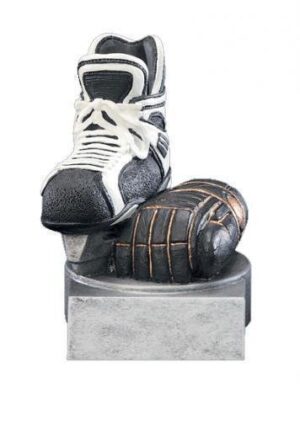 Color Tek Ice Hockey Award