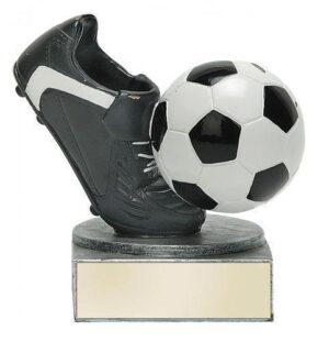 Color Tek Soccer Award