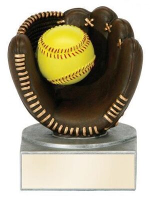 Color Tek Softball Award