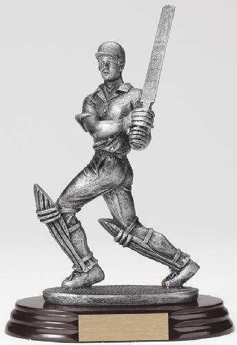 Cricket Batsman