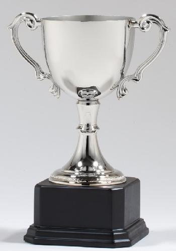 Die Cast Nickel Plated Cup Trophy
