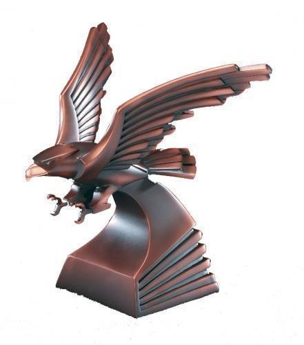 Eagle In Flight Award