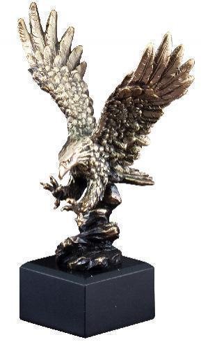 Eagle Landing On Rocks