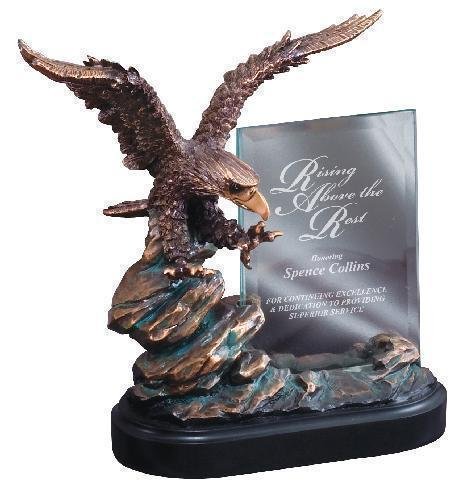 Eagle On Rock With Glass
