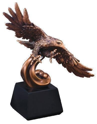 Eagle Soaring  Wing Span