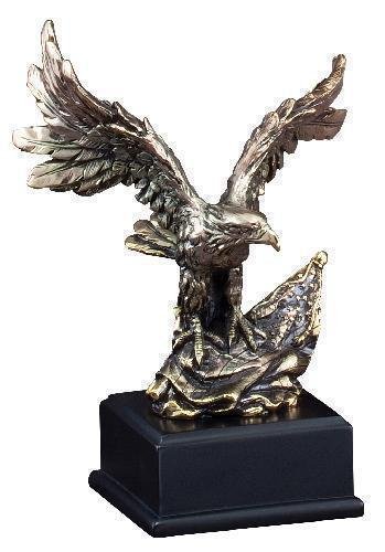 Eagle With Spread Wings