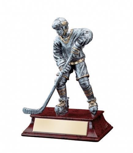 Elite Series Ice Hockey Awards
