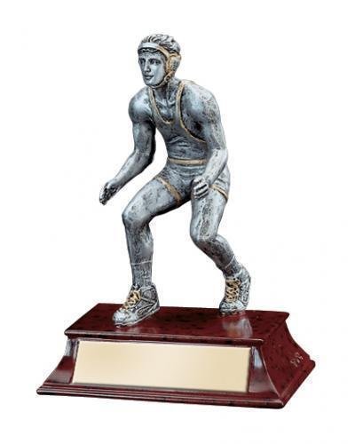 Elite Series Wrestling Awards