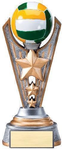 Full Color Award -Volleyball