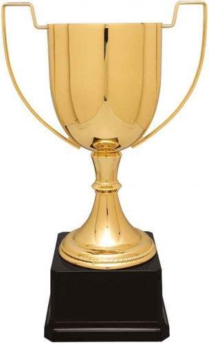 Gold Completed Zinc Cup