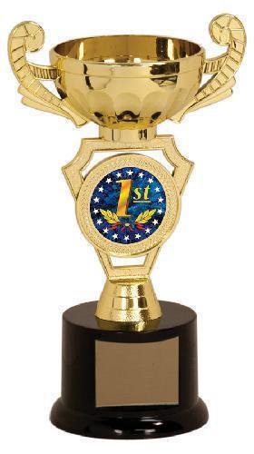 Gold Cup Trophy with 2 Insert