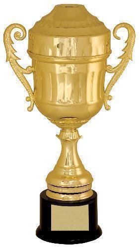 Gold Plastic Cup Trophy