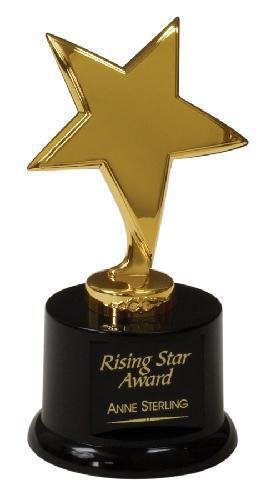 Gold Star Award