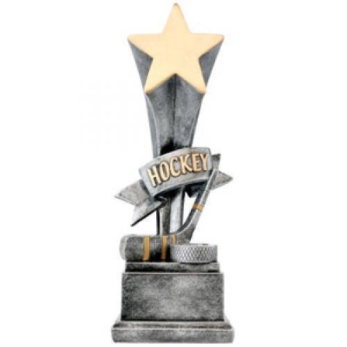 Hockey Star Award