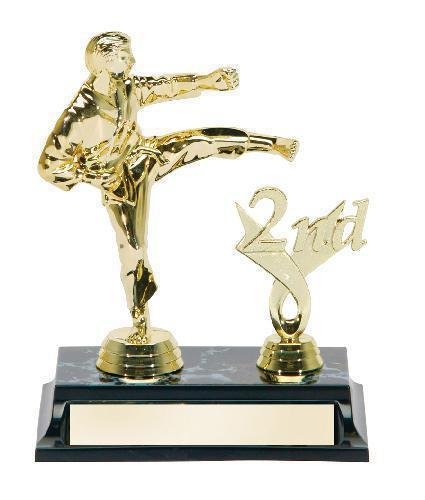 Karate Male with Trim Award