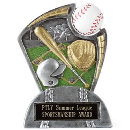 Large Spin Award Baseball