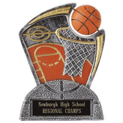 Large Spin Award Basketball
