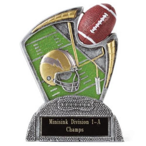 Large Spin Award Football