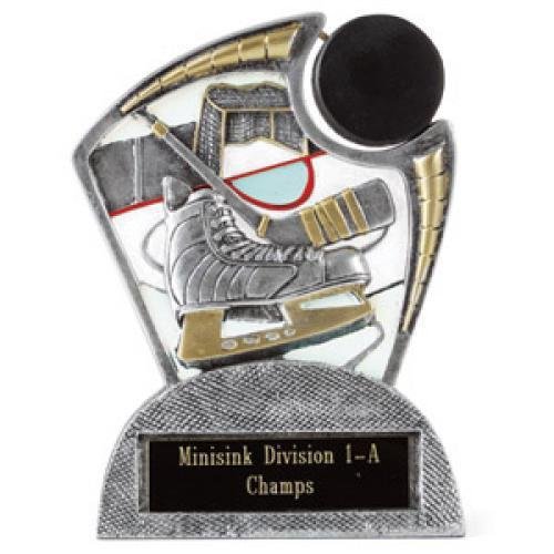 Large Spin Award Hockey