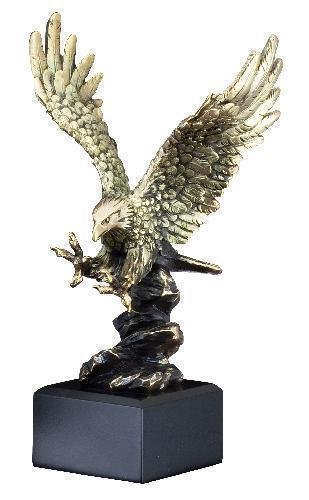 Medium Eagle Landing On Rocks