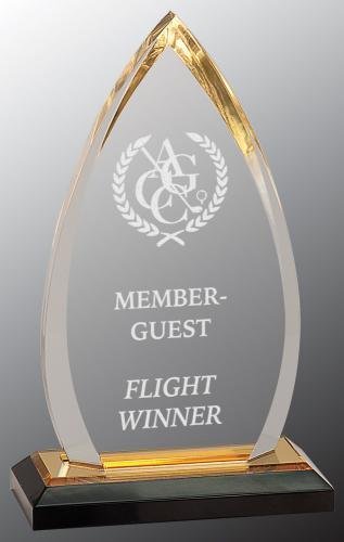 Oval Impress Acrylic Award