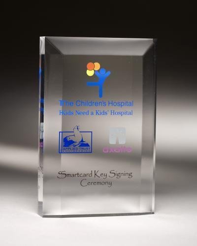Rectangle Clear Acrylic Award