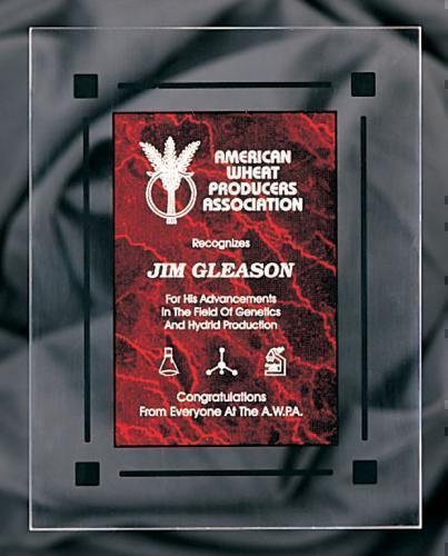 Red Marble Acrylic Award Recognition Plaque