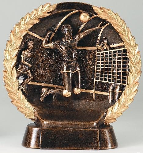Resin Plate -Volleyball Male