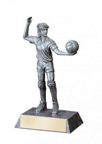 Signature Series Volleyball Awards