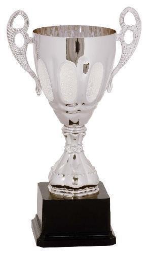 Silver Metal Cup Trophy