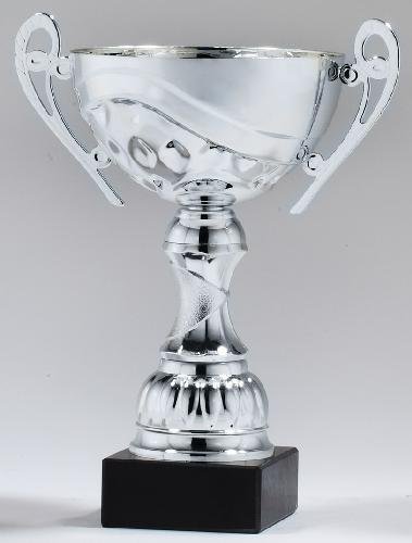Silver Metal Cup Trophy