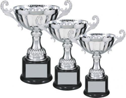 Silver Metal Loving Cup