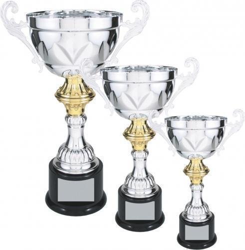 Silver Metal Loving Cup with Gold Accent