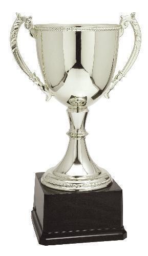 Silver Zinc Cup Trophy