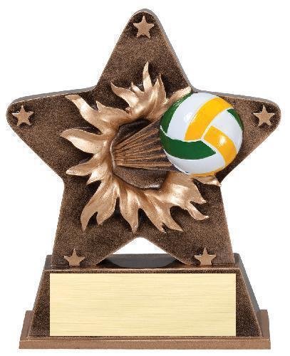 Star Burst Resin -Volleyball