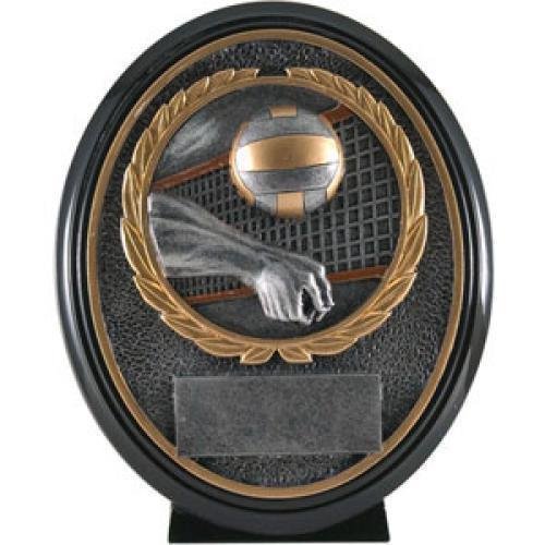 Volleyball Resin Oval