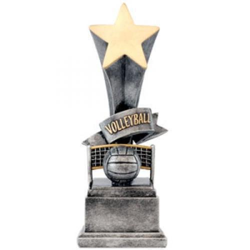 Volleyball Star Award